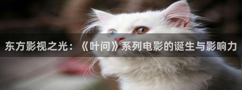 轨道 影院：东方影视之光：《叶问》系列电影的诞生与影响力