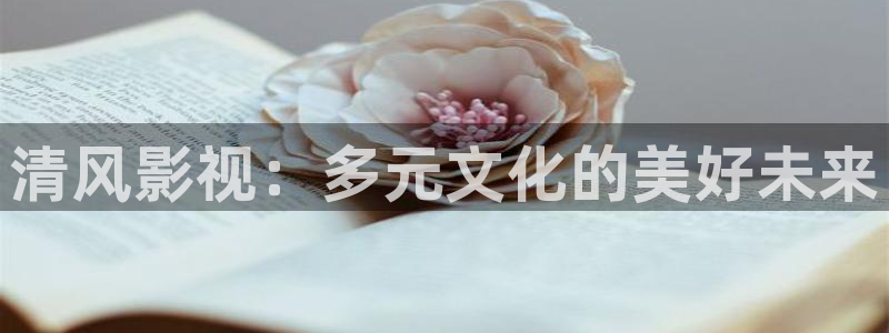 轨道影院免费播放电视剧入口：清风影视：多元文化的美好未来