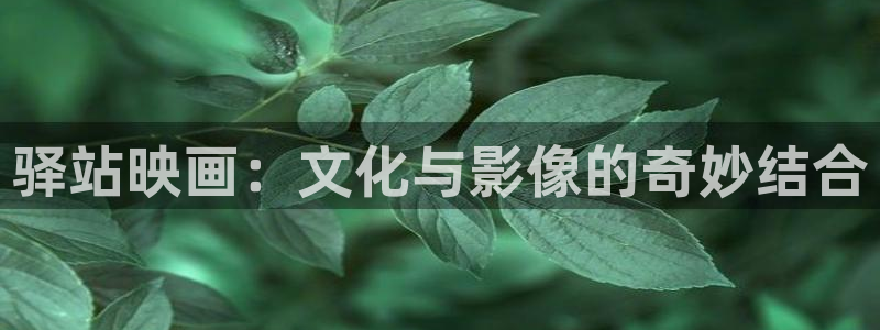 影视轨道：驿站映画：文化与影像的奇妙结合