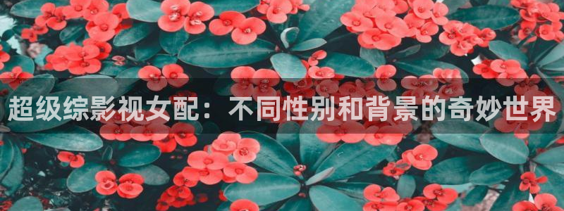 轨道影院飞行影院：超级综影视女配：不同性别和背景的奇妙世界