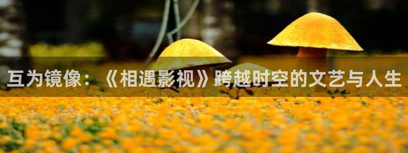 轨道电视：互为镜像：《相遇影视》跨越时空的文艺与人生