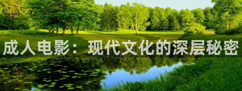 轨道电影院：成人电影：现代文化的深层秘密