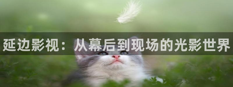元宇宙轨道飞行影院：延边影视：从幕后到现场的光影世界