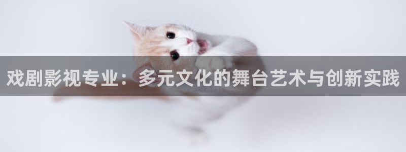 轨道影院设备生产商：戏剧影视专业：多元文化的舞台艺术与创新实践